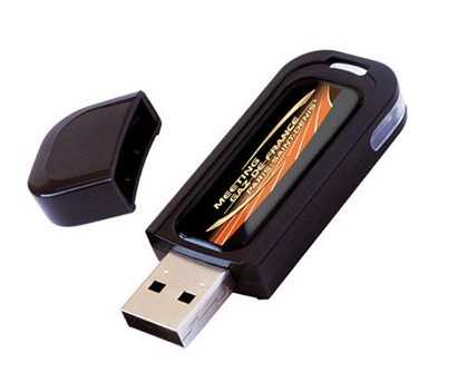 Fingerprint USB Flash Drive