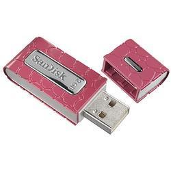 SanDisk Cruzer Gator 2GB USB Flash Drive